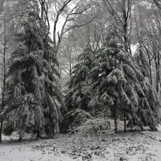 neige-01-2021