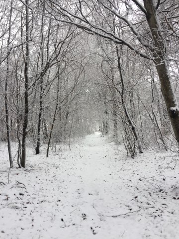 neige2-01-2021