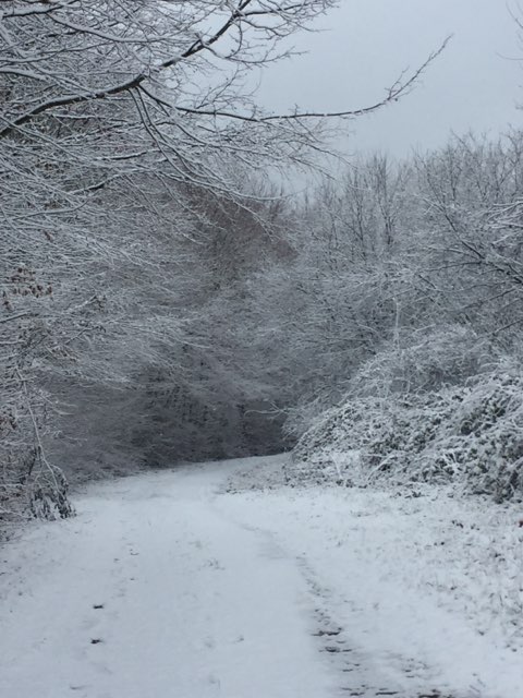neige3-01-2021
